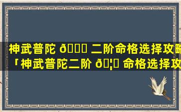 神武普陀 🐈 二阶命格选择攻略「神武普陀二阶 🦍 命格选择攻略视频」